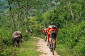 Vietnam Tour Mountain Bike Challenge in the Far North 12 Days